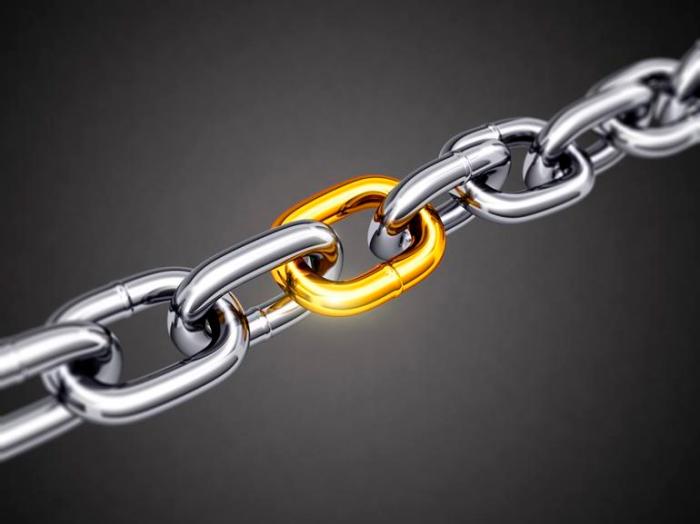 Steel chain with a gold link